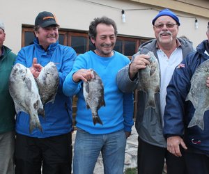 Overberg Kushengelklub (17 Sept 2015)